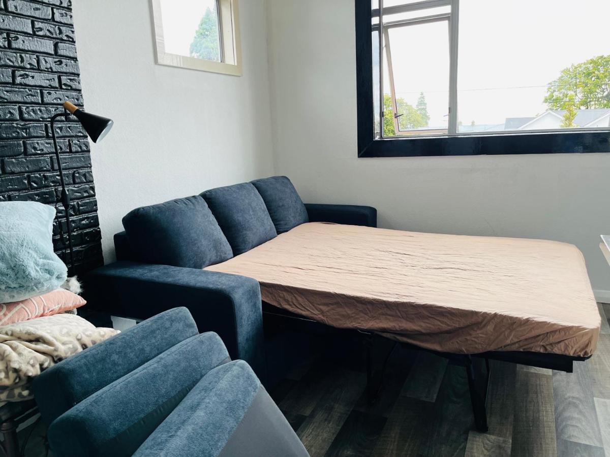 Modern Upstairs Apartment In Dunedin Central Eksteriør billede